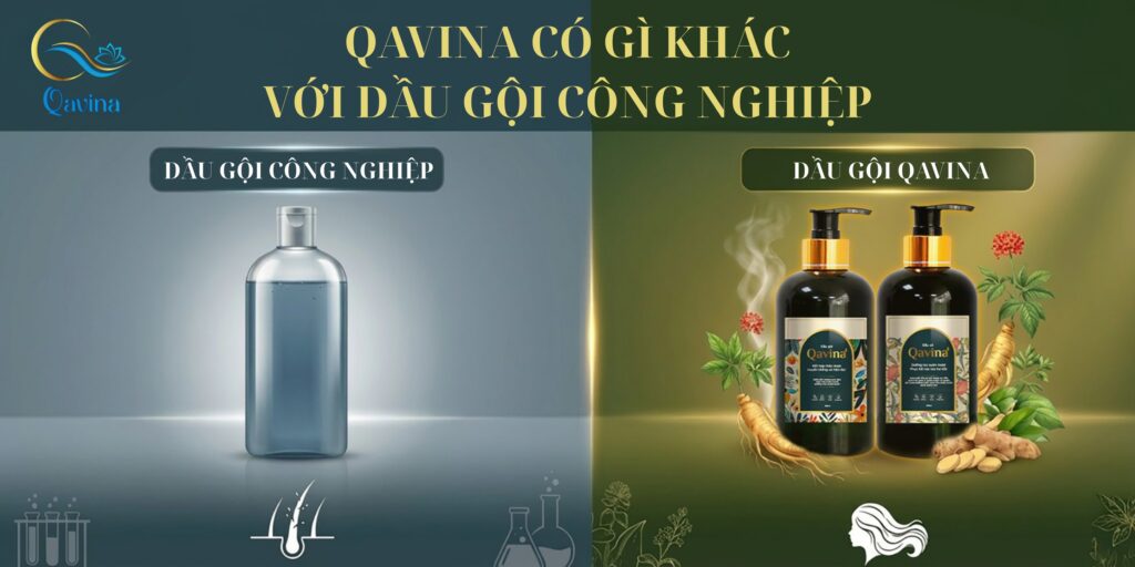 Dầu gội QAVINA khác gì so với dầu gội công nghiệp