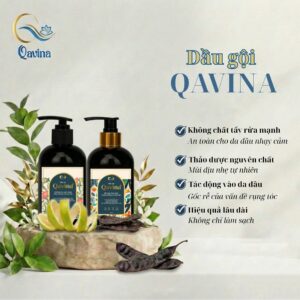 Trở thành đại lý QAVINA chính hãng