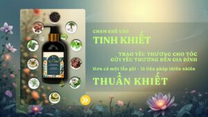 đăng ký làm đại lý dầu gội thảo dược QAVINA