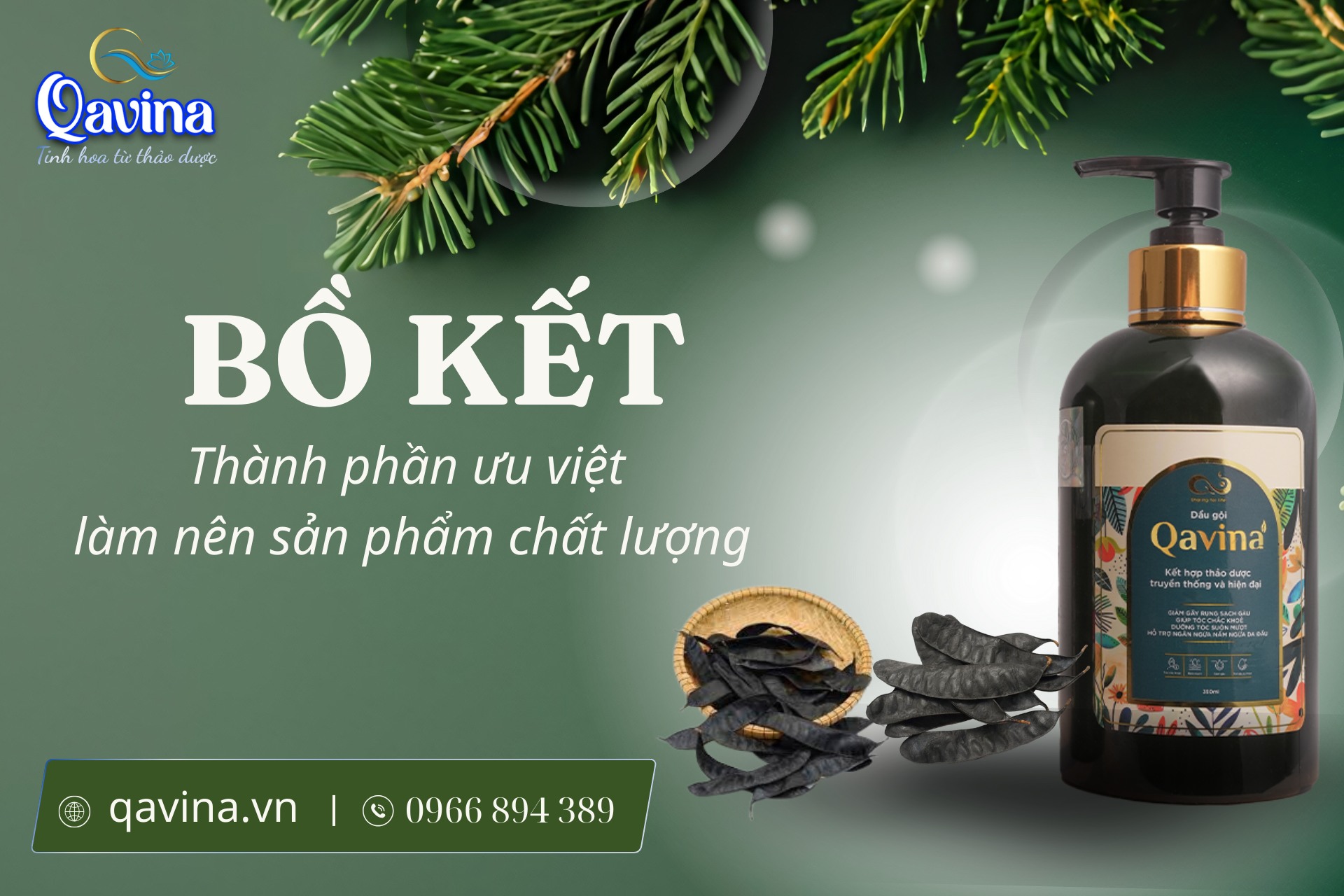 Dầu gội thảo dược cho nhà thuốc Dầu gội thảo dược cho nhà thuốc