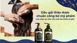 Dầu gội thảo dược chuẩn công bố mỹ phẩm