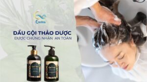 Dầu gội thảo dược chứng nhận an toàn