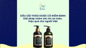 Dầu gội thảo dược có kiểm định