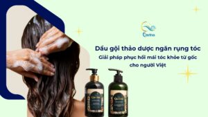 Dầu gội thảo dược ngăn rụng tóc