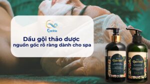 Dầu gội thảo dược nguồn gốc rõ ràng dành cho spa