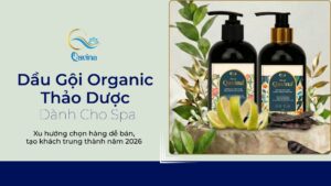 Dầu gội organic thảo dược