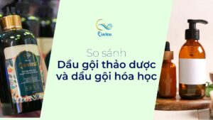 so sánh dầu gội thảo dược và hóa học