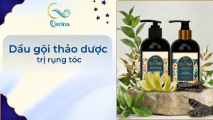 Dầu gội thảo dược trị rụng tóc