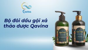 Bộ đôi dầu gội xả thảo dược Qavina