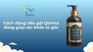 Cách dùng dầu gội Qavina