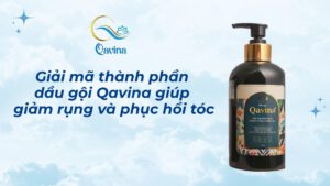 thành phần dầu gội Qavina